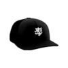 2285 Team Cap PTS30 BLACK-LIONS