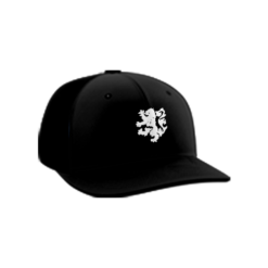 2285 Team Cap PTS30 BLACK-LIONS
