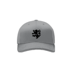 2285 Team Cap R172 BLACK-LIONS
