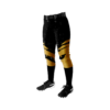1727 FD Girls Fastpitch Pant CL ANONYMOUS