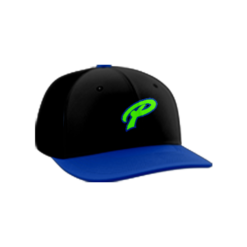 2305 Team Cap PTS30 SCREAMING-PELICANS-FLO