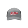 2319 Team Cap R172 DRS