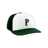 1736 Team Cap PTS30 PARKSIDE-AUTO