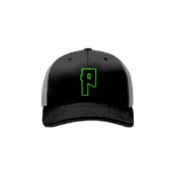 2310 Team Cap R172 PUNISHERS