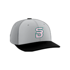 993 Team Cap PTS30 SEA-DOGS-TEAL