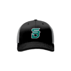 993 Team Cap R172 SEA-DOGS-TEAL