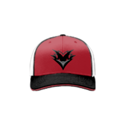 1573 Team Cap R172 NIGHTHAWKS