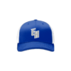2303 Team Cap R172 EAST-HOLMES-ASTRO