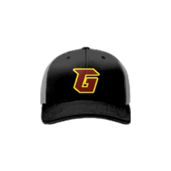 2139 Team Cap R172 GENERALS-ZEBRA
