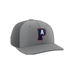 2333 Team Cap PTS30 AMERICA-PITCHES