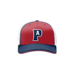 2333 Team Cap R172 AMERICA-PITCHES