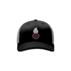 2180 Team Cap R172 AMMO
