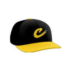 2337 Team Cap PTS30 CENIZA