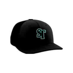 1466 Team Cap PTS30 STICK-TALK-BLACK