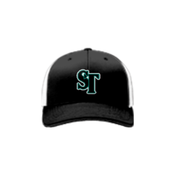 1466 Team Cap R172 STICK-TALK-BLACK