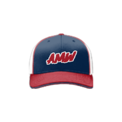 2217 Team Cap R172 AMERICAS-MOST-WANTED-ADDONS
