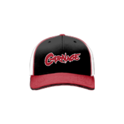 2217 Team Cap R172 CARNAGE-ADDONS