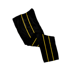 2217 FD Sweat Pant SINISTER-CHAMPS