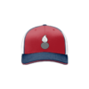 2378 Team Cap R172 GACP