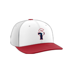 2374 Team Cap PTS30 SIMPSONS-TRUCKING