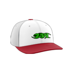 2408 Team Cap PTS30 POLY-254