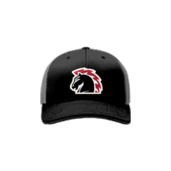 2389 Team Cap R172 WAR-HORSE