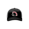 2389 Team Cap R172 WAR-HORSE