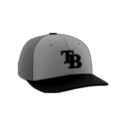 2384 Team Cap PTS30 TEAM-BLACKOUT