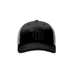 2384 Team Cap R172 TEAM-BLACKOUT