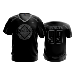 2384 FD Sport V-Neck MENS TEAM-BLACKOUT