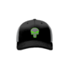2386 Team Cap R172 THROW-LINE-DRINKERY-GREEN-ADDONS
