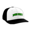 1401 Team Cap PTS30 DOWN-N-DIRTY-HATS