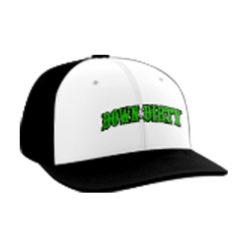1401 Team Cap PTS30 DOWN-N-DIRTY-HATS