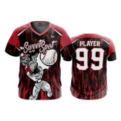 2421 FD Sport V-Neck MENS SWEET-SPOT