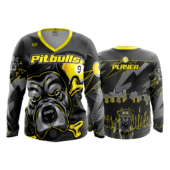 2441 FD Womens V-Neck Longsleeve PITBULLS-9-BALL