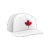 2437 Team Cap PTS30 THE-NORTH-NORTH
