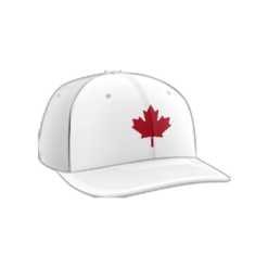 2437 Team Cap PTS30 THE-NORTH-NORTH