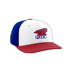 2380 Team Cap PTS30