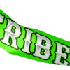 2472 FD Armsleeve KEWASKUM-TRIBE-WHITE-FLO-FLO INK + $5