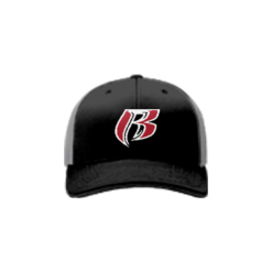 2475 Team Cap R172 REGULATORS