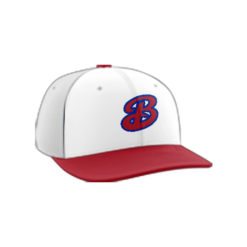 2480 Team Cap PTS30 BAD-NEWS-BEERS