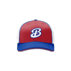 2480 Team Cap R172 BAD-NEWS-BEERS