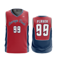 2247 FD Basketball V-Neck