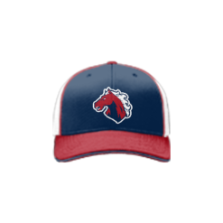 973 Team Cap R172 TAMPA-MUSTANGS-NAVY