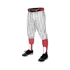 2540 CL KNICKERS CUSTOM BRAIDED BALL PANT REDHAWKS-PIN
