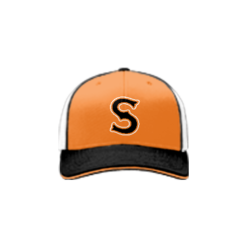 2549 Team Cap R172 STIX-WHITE