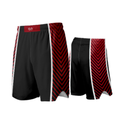 2553 FD Fight Shorts CYCLONES