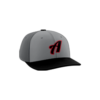 2571 Team Cap PTS30 ANONYMOUS-GREY