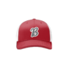 1299 Team Cap R172 SHELBY-BOMBERS