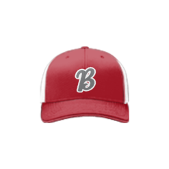 1299 Team Cap R172 SHELBY-BOMBERS